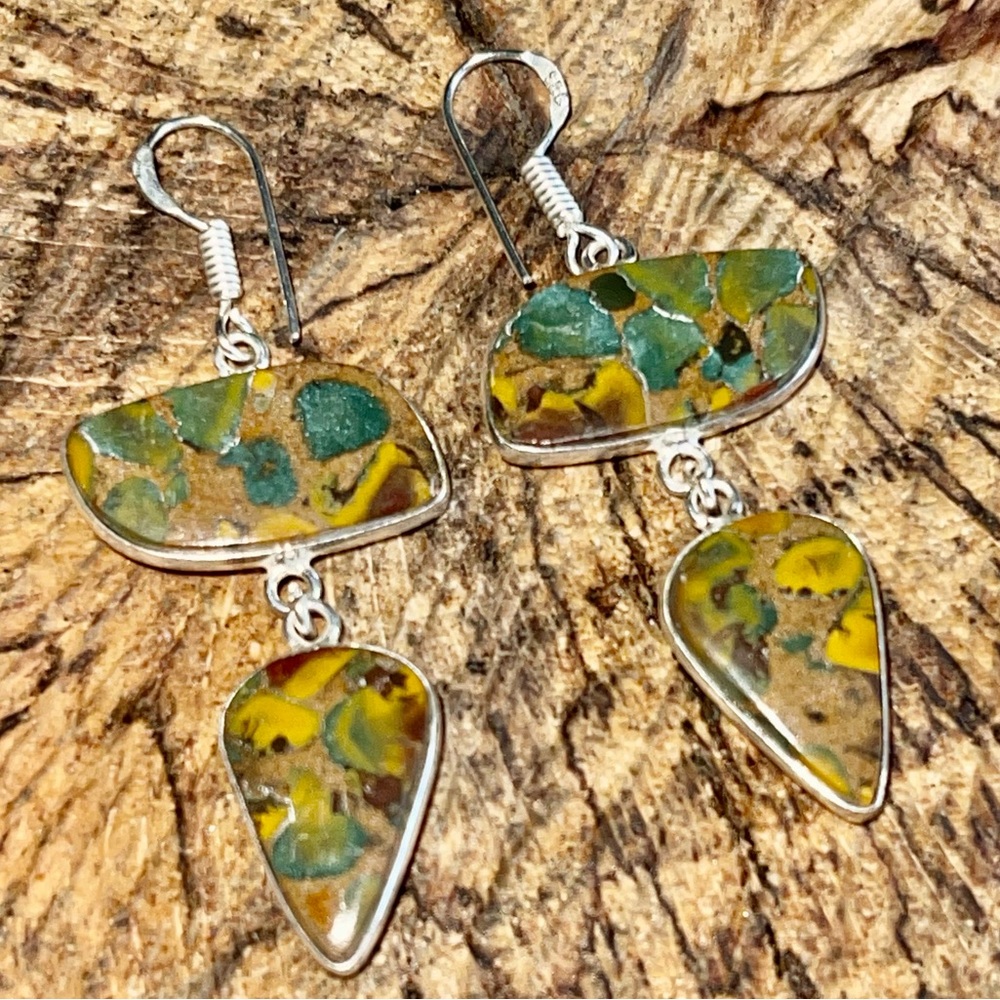 Ajooba Fruit Jasper Earrings 2”